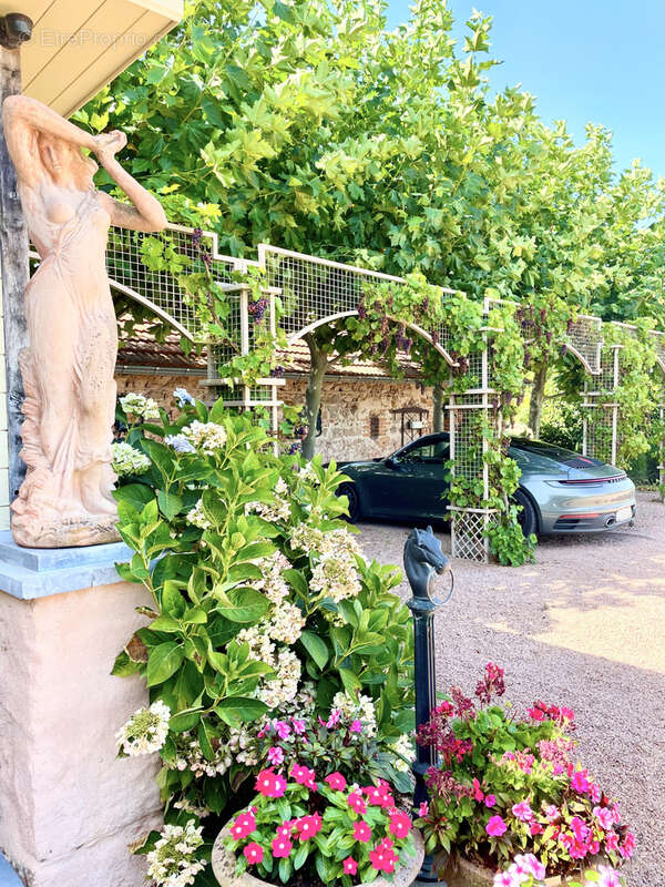 Maison à MONTAIGUET-EN-FOREZ