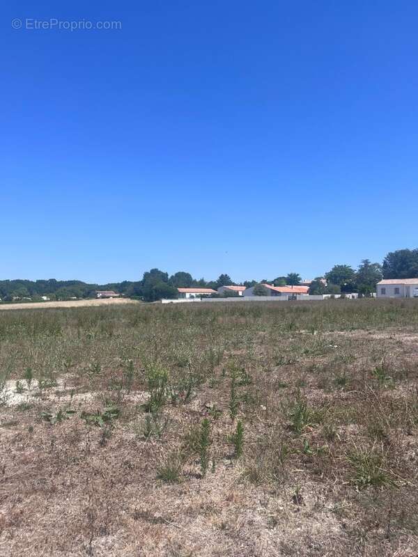 Terrain à CHAILLEVETTE