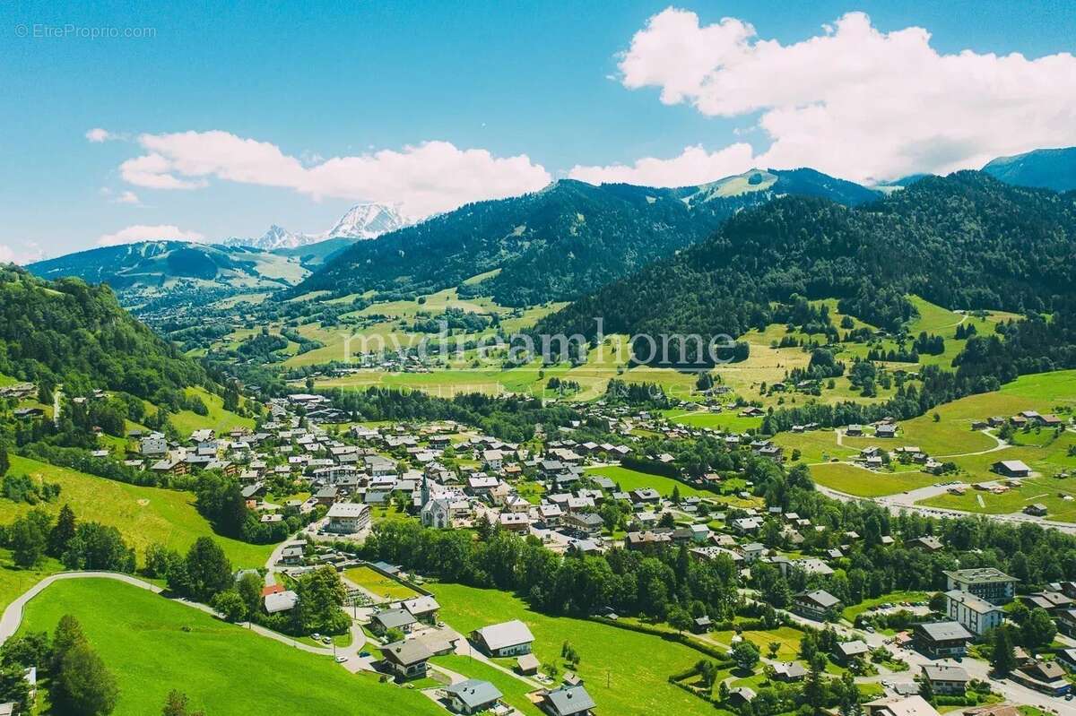 Terrain à PRAZ-SUR-ARLY