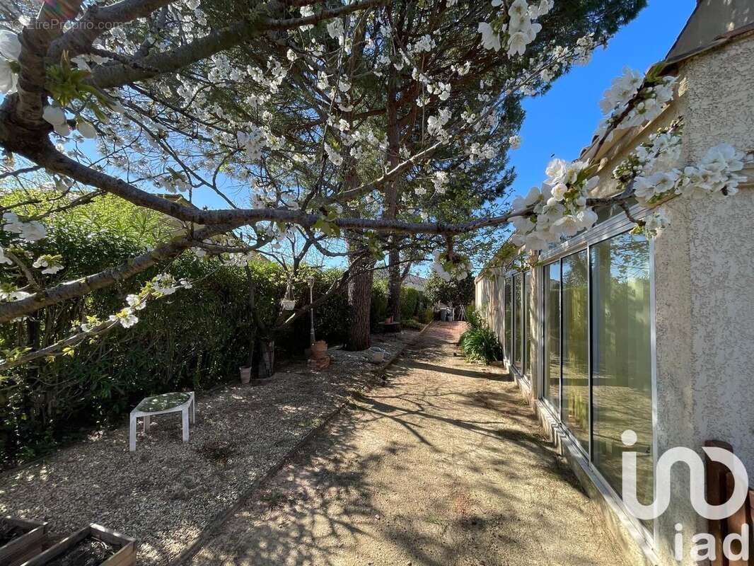 Photo 9 - Maison à CANET