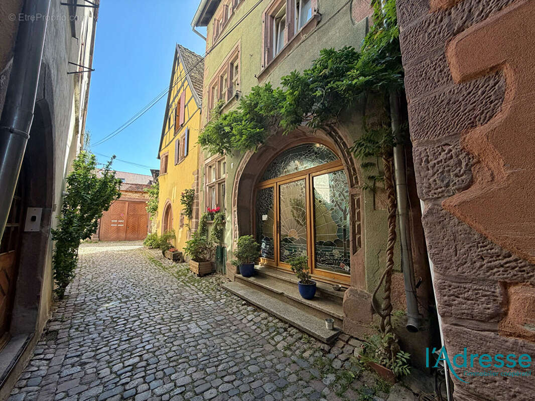 Maison de prestige Riquewihr 10 pièces 220 m2 - photo 2