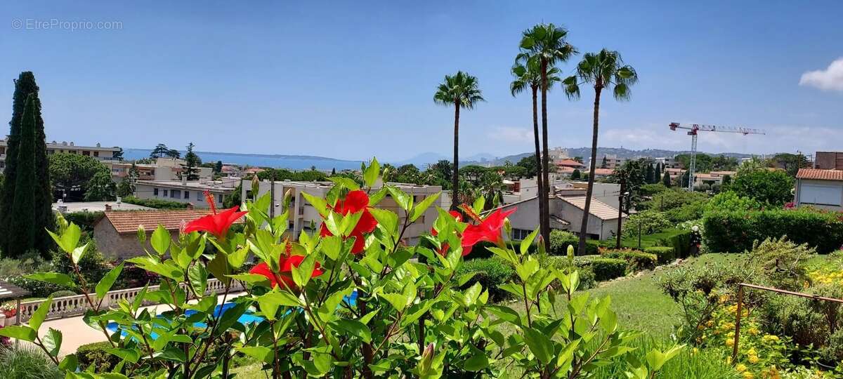 Appartement à ANTIBES