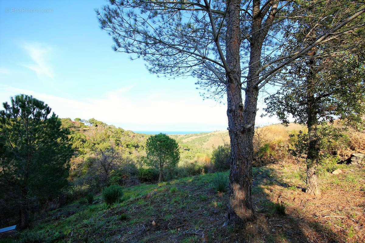 Terrain à ARGELES-SUR-MER