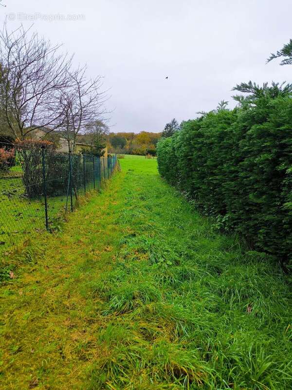 Photo 3 - Terrain à FRANCHEVELLE