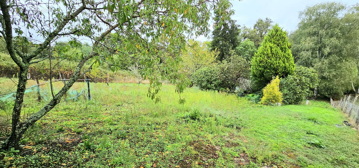 Terrain à BRIVE-LA-GAILLARDE