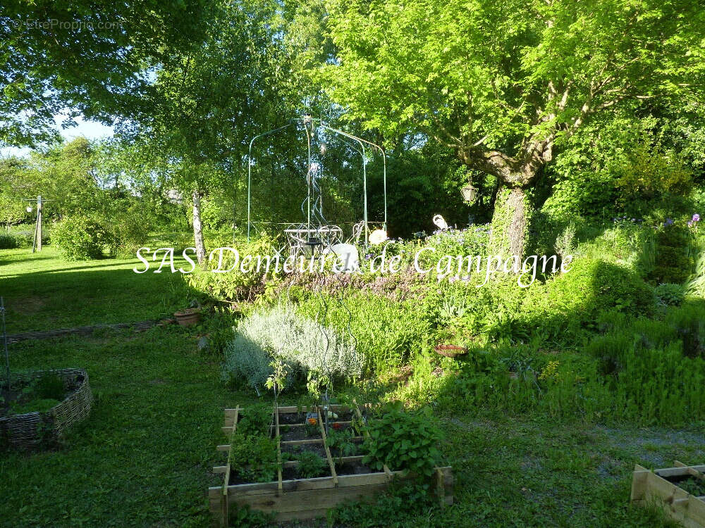 Maison à SENS-BEAUJEU