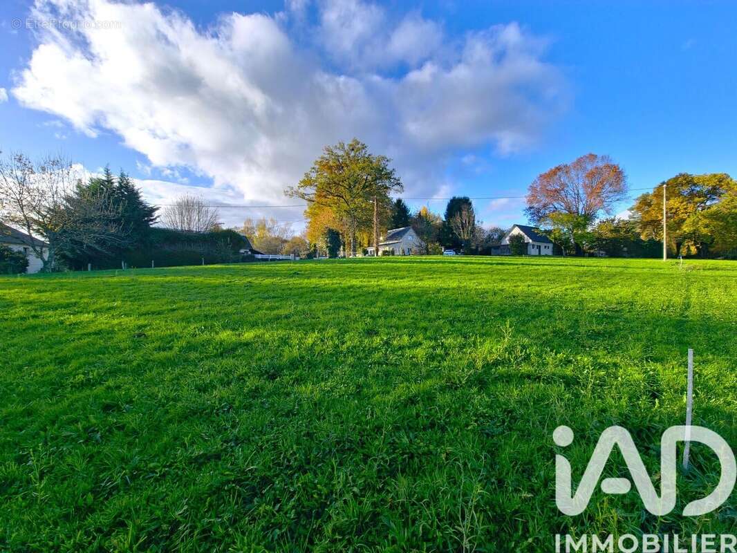 Photo 3 - Terrain à SAINTE-FEREOLE