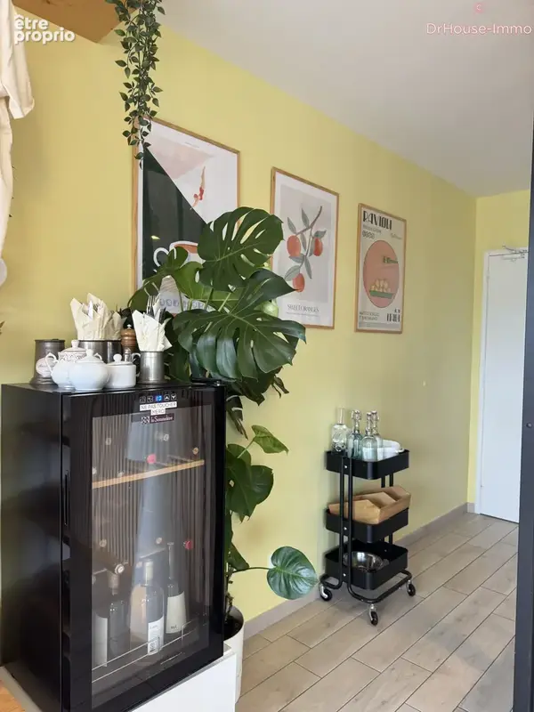 Commerce 50 m² à vendre à Lacanau (33680) - photo 13