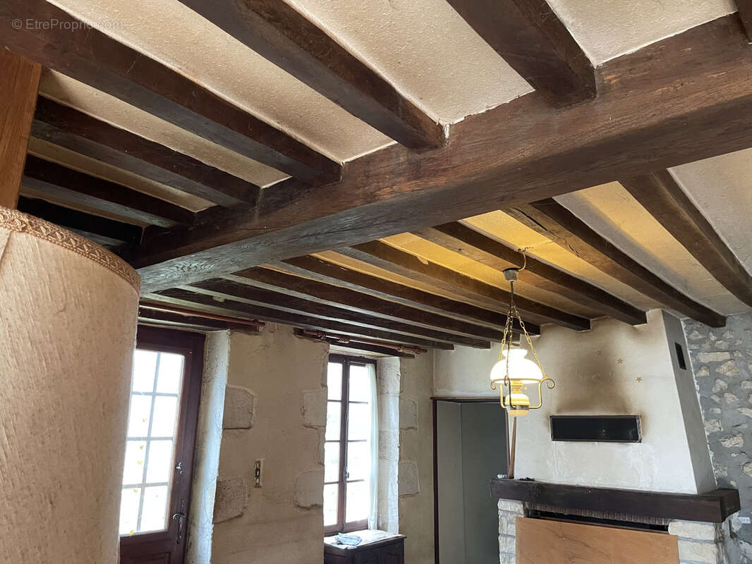 Maison à OUSSON-SUR-LOIRE