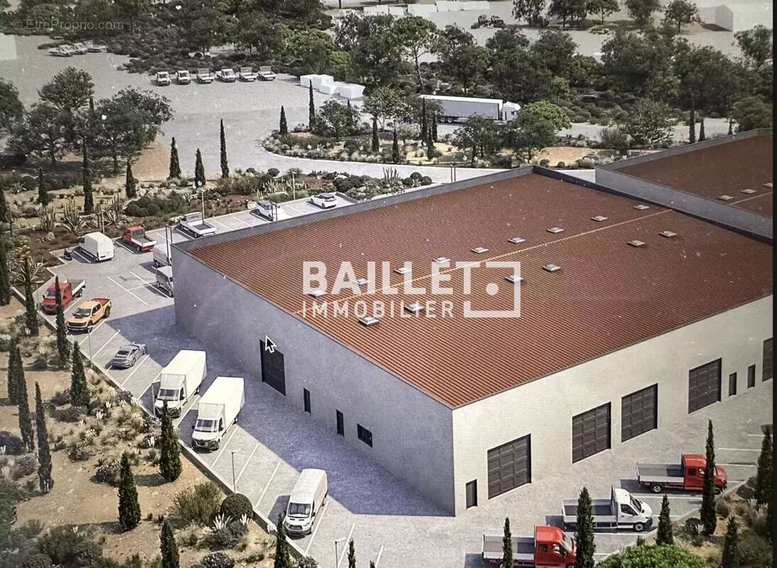 Commerce à MONTAUROUX