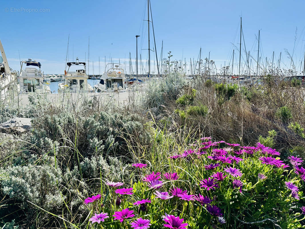 Appartement à NARBONNE