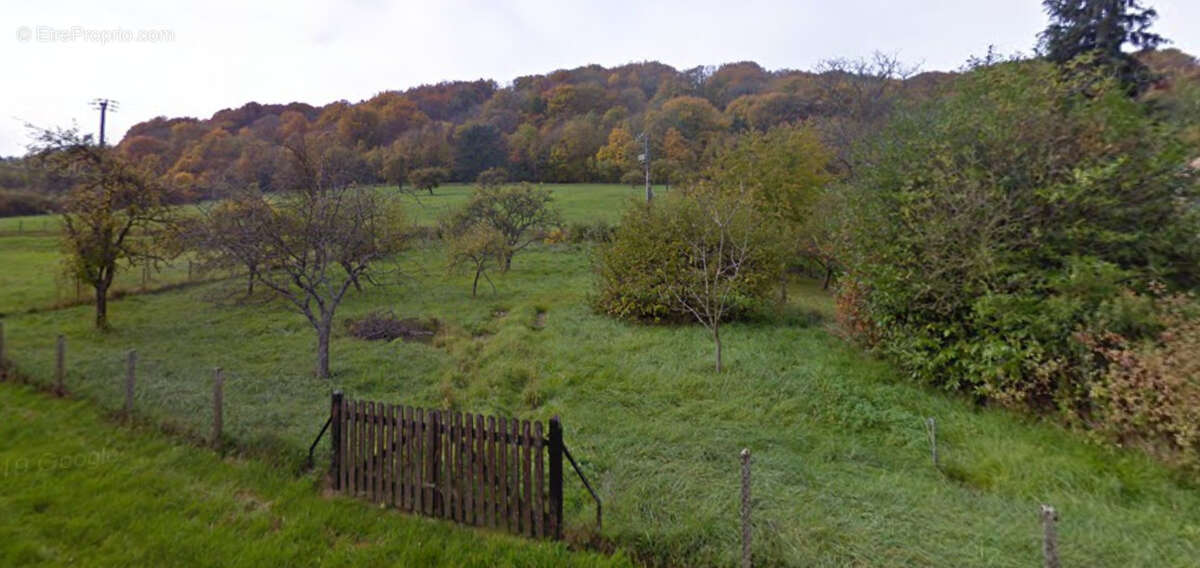 Terrain à BISLEE