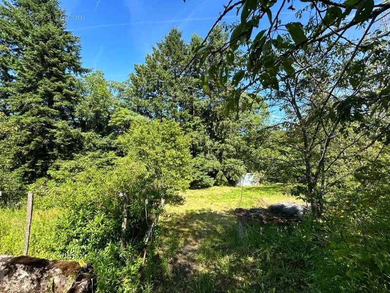 Maison à LUSSAC-LES-EGLISES