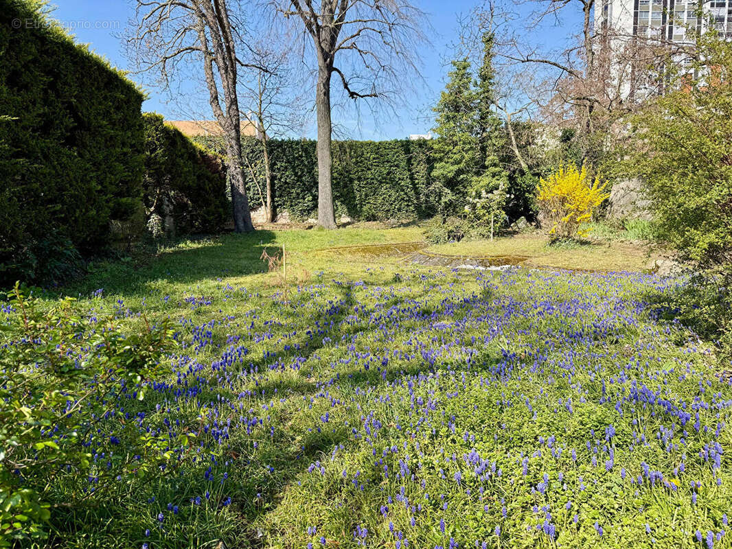 Appartement à ROANNE