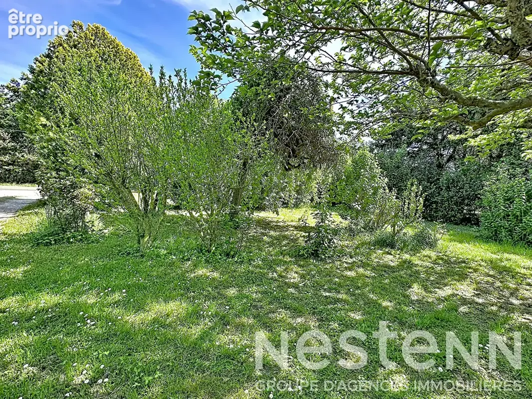 Maison à vendre à Arles sur 9000 m² avec deux habitations, dépendances et hangars - photo 3