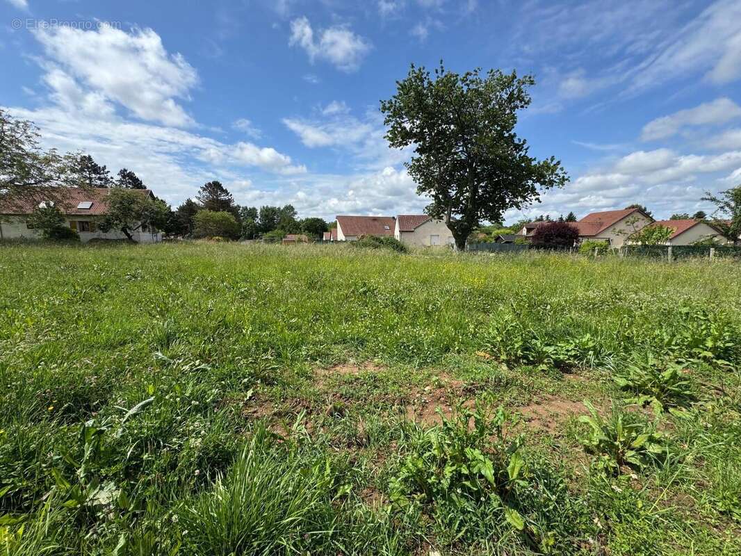 Terrain 1164 m² à Voray-Sur-L'ognon  - photo 2