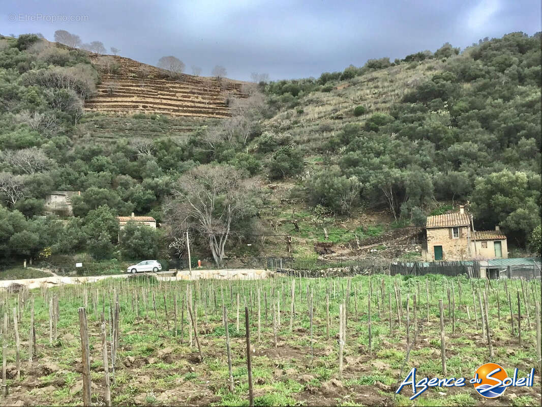 Terrain à BANYULS-SUR-MER