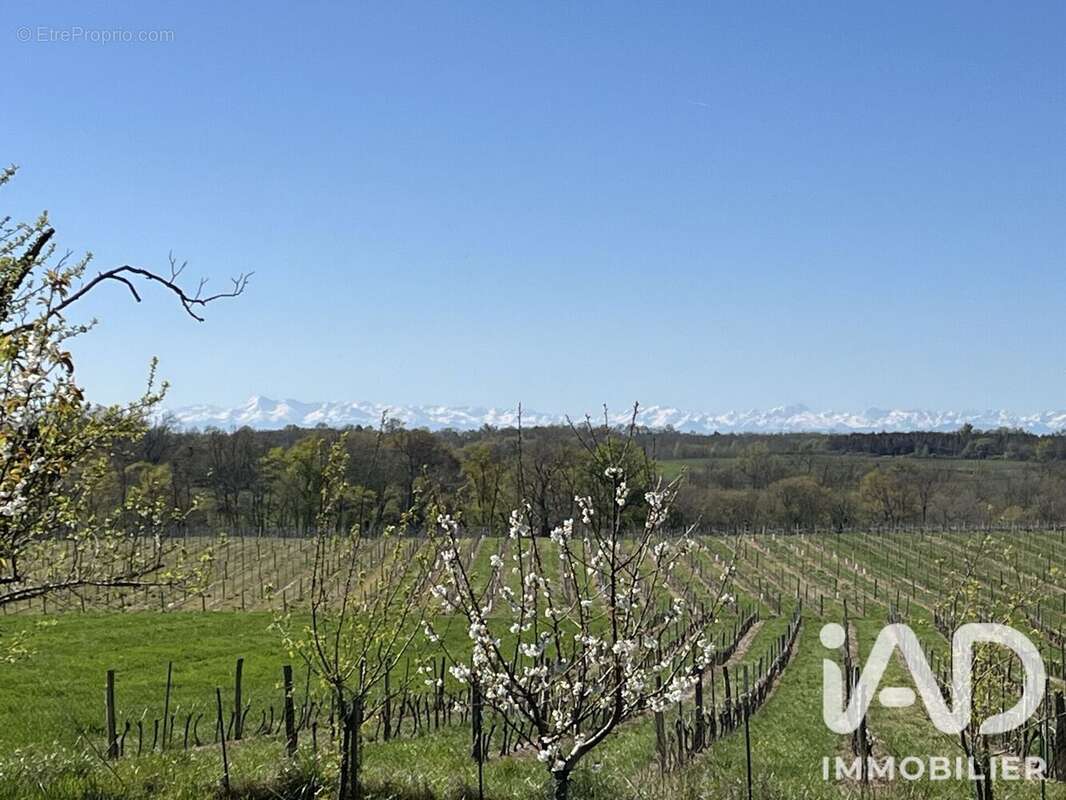 Maison 310 m² à Manciet  - photo 8
