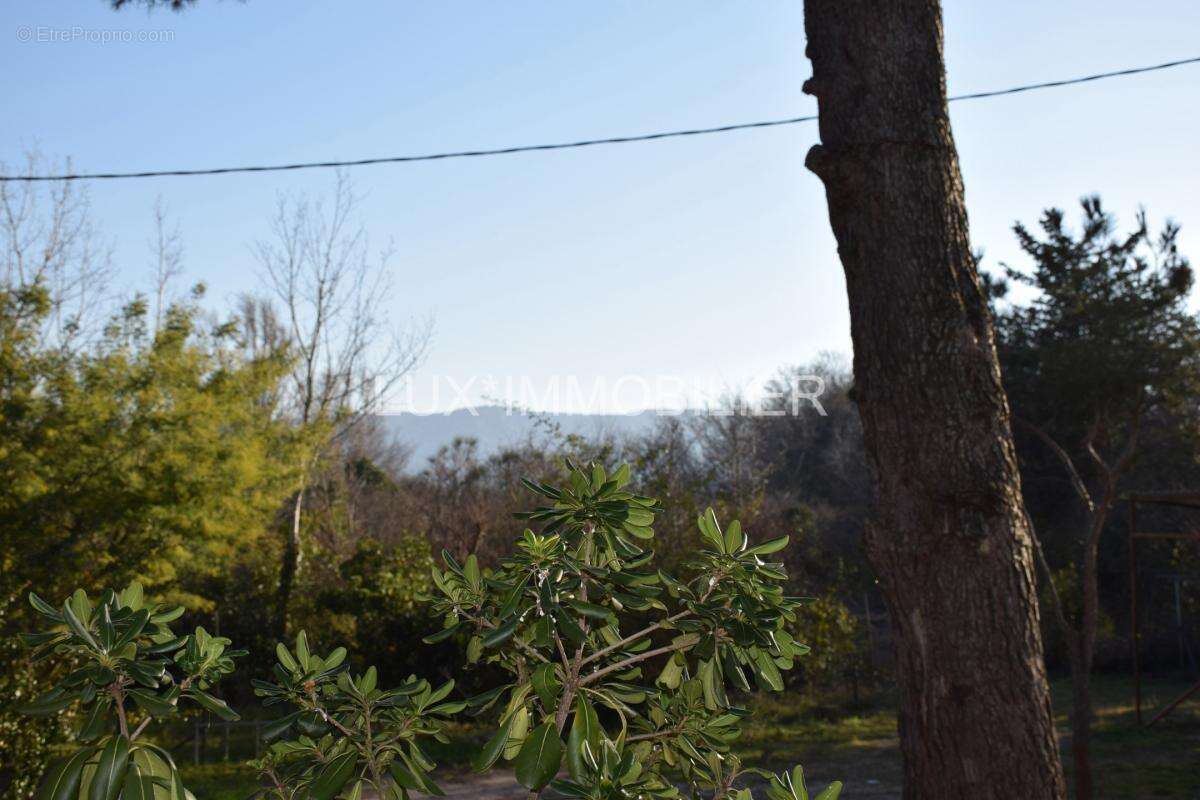 Saint rémy de provence / au pied du plateau de la crau - photo 15