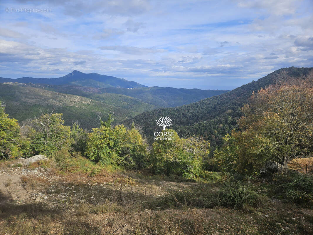 Terrain à PIETRASERENA