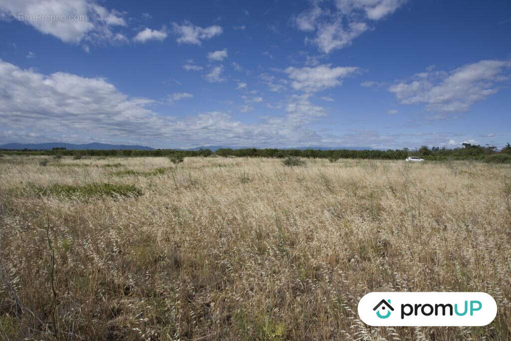 Terrain à SAINT-HIPPOLYTE