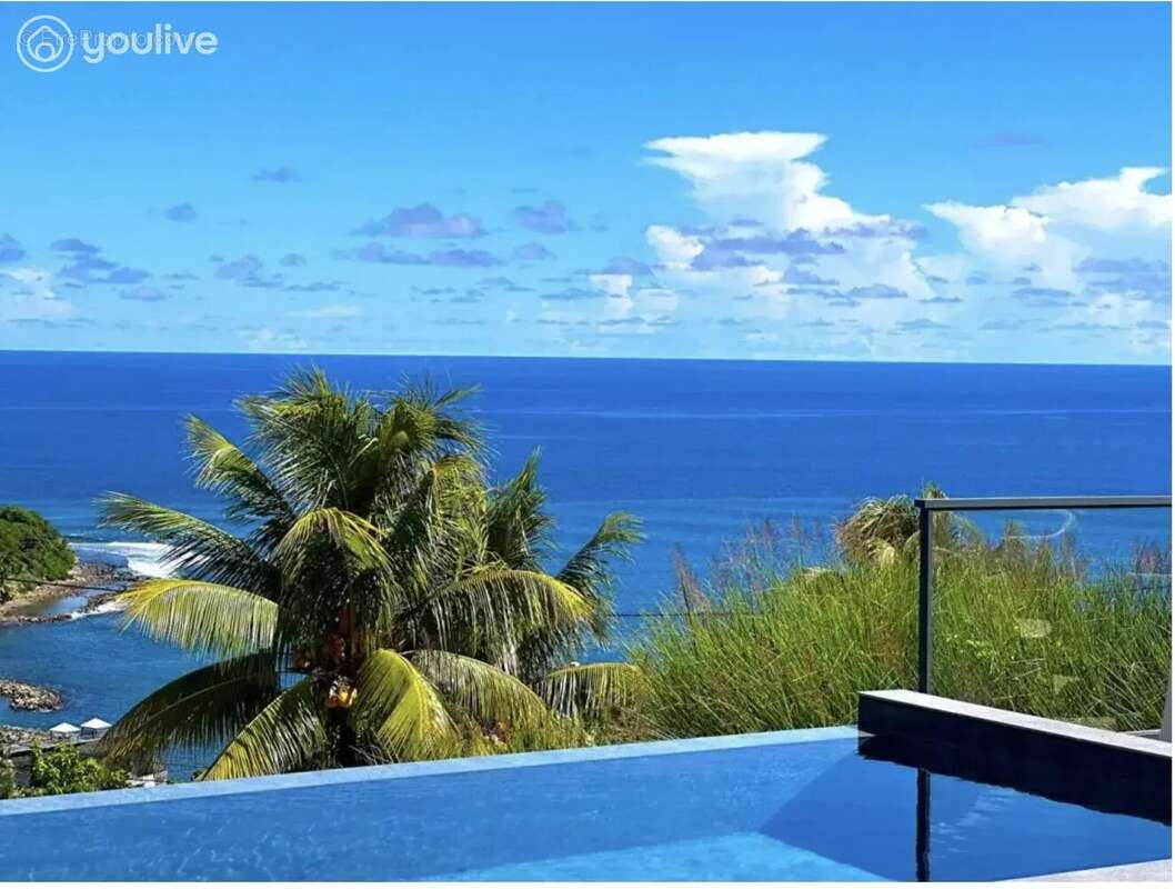 Villa - 6 pièces - 436m2- terrain 3500m2- Le Marigot Martinique - photo 7