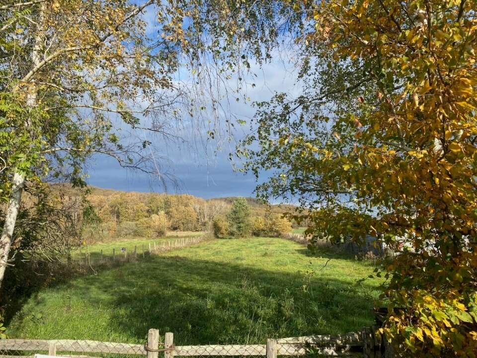 Terrain à OURSBELILLE