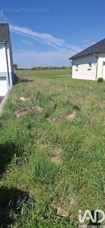 Photo 5 - Terrain à DIEBLING