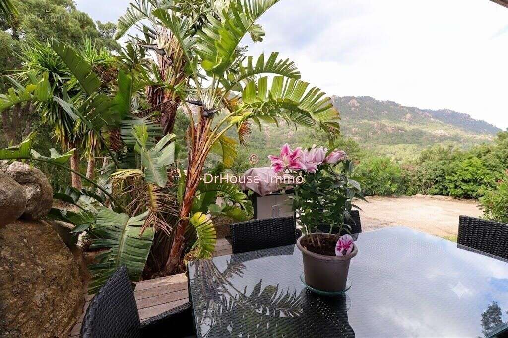 Maison 165 m² à Porto-Vecchio  - photo 4