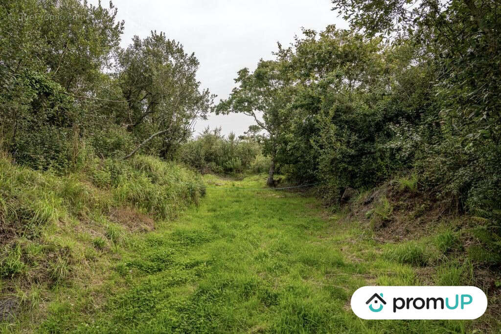 Terrain à LANDUNVEZ