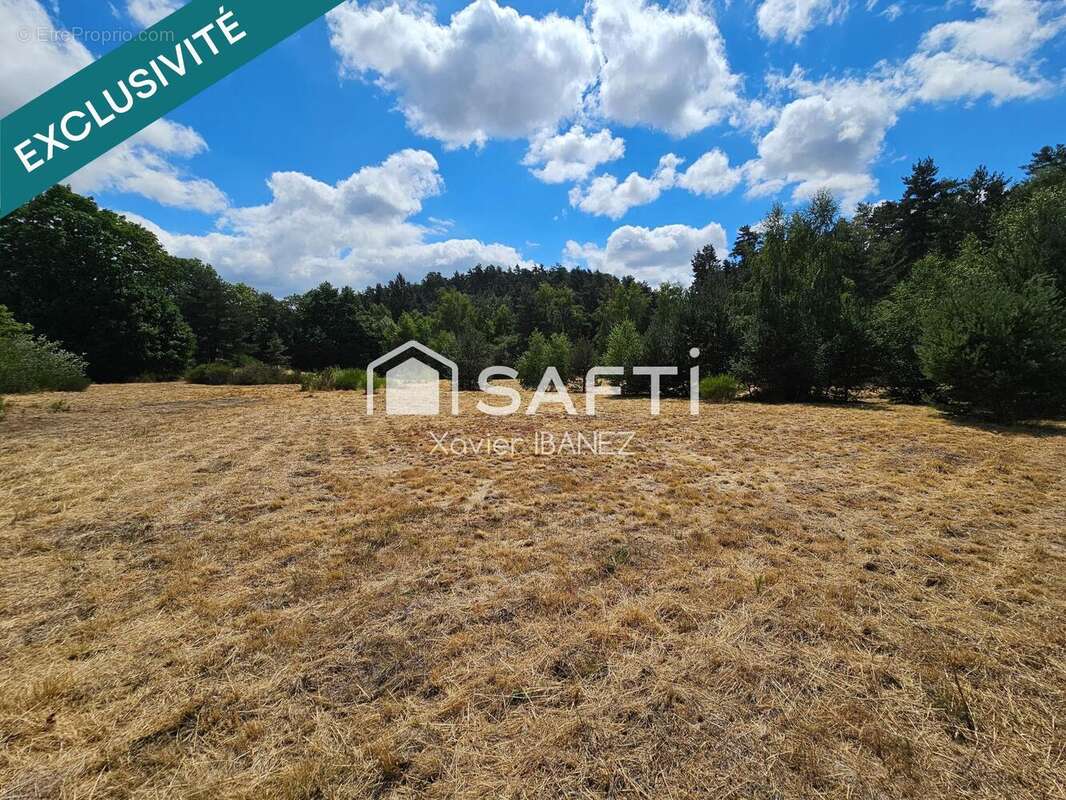 Terrain 6120 m² à Saint-Chely-D'apcher  - photo 3