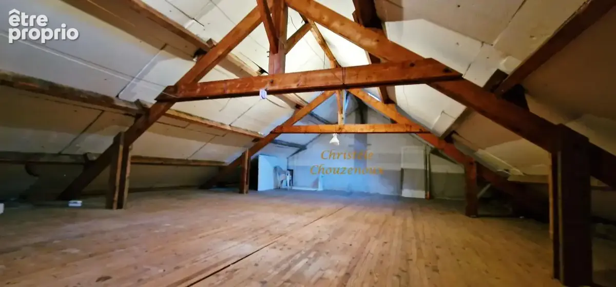 24120 Terrasson : Maison  de plain pieds  sur 4385m² de terrain - photo 12