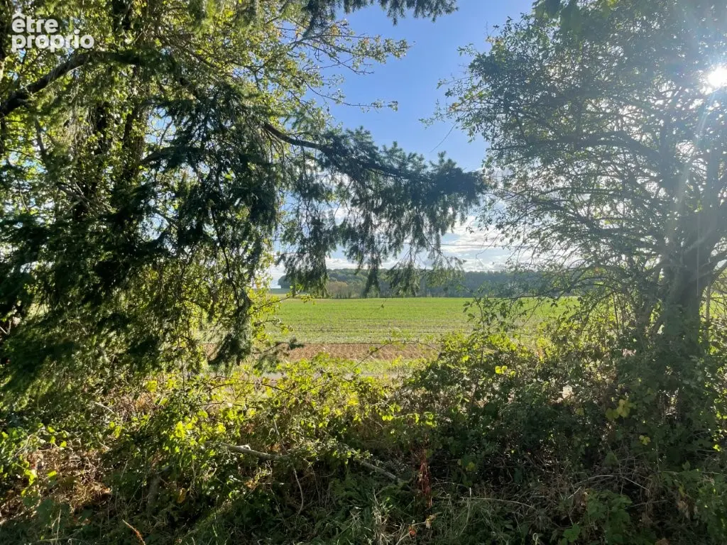 Terrain de loisir à vendre. - photo 4