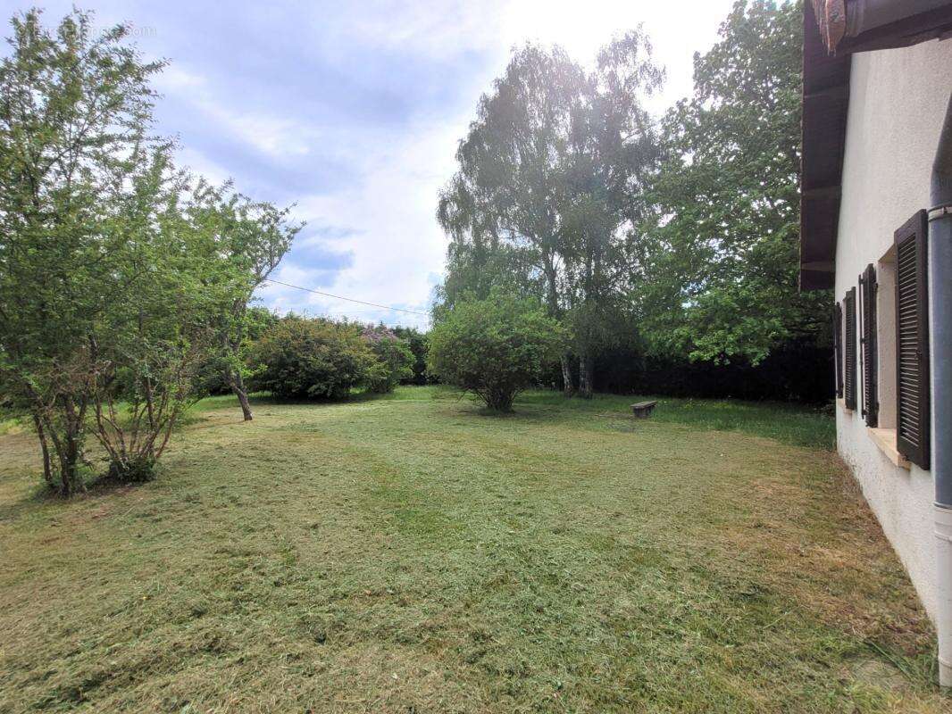 Maison de 153 m² avec 6038 m² de terrain arboré - photo 3