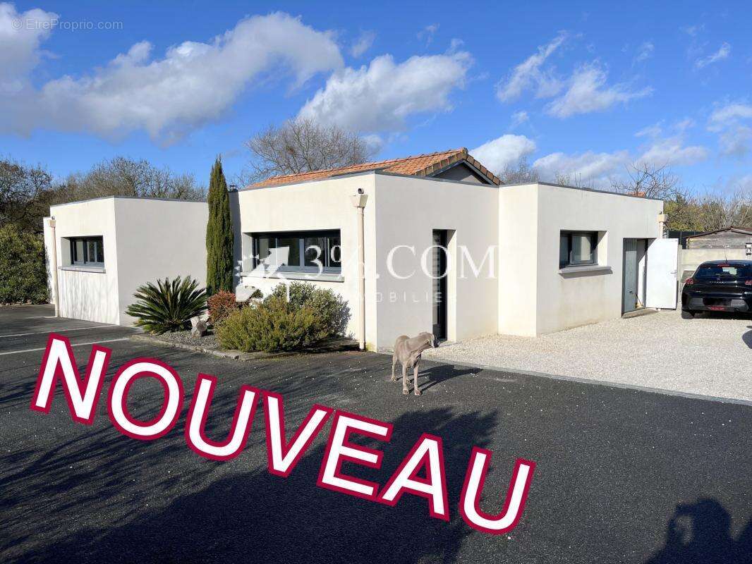 MAISON de Standing 233 m2 + Terrain 5 844 m2 ( idéal pour ch - photo 4