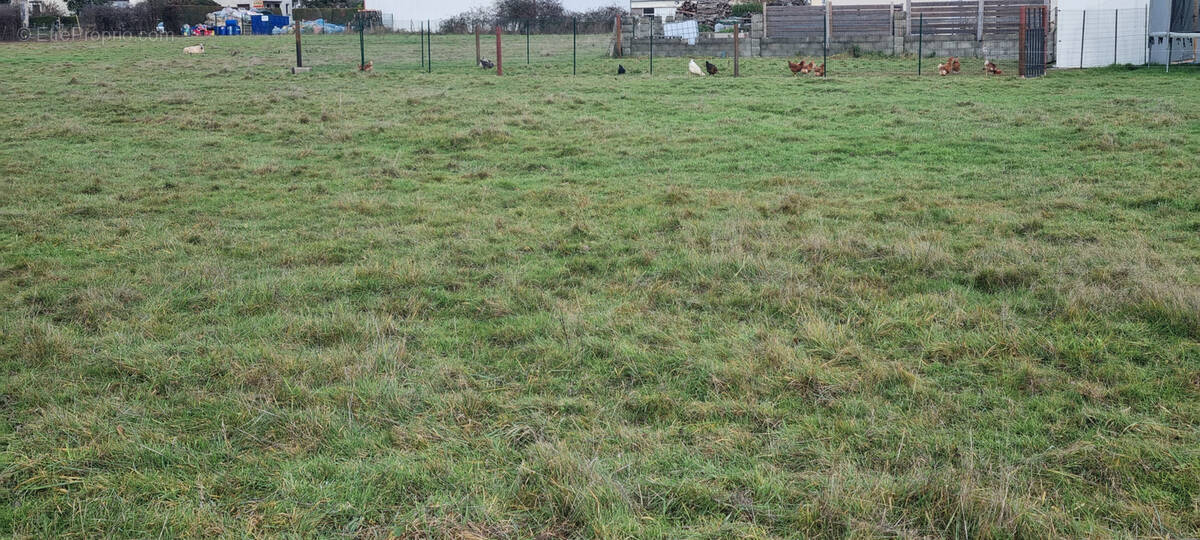 Terrain à LA VILLE-AUX-CLERCS