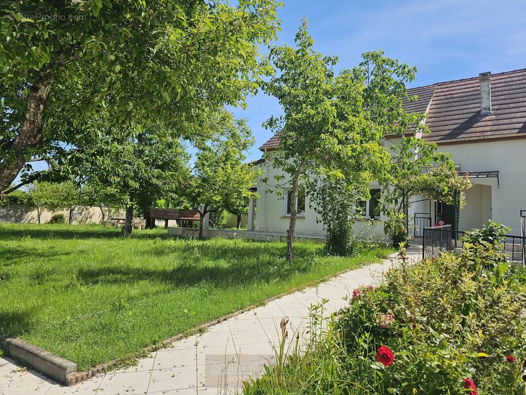 Maison à BRANSLES