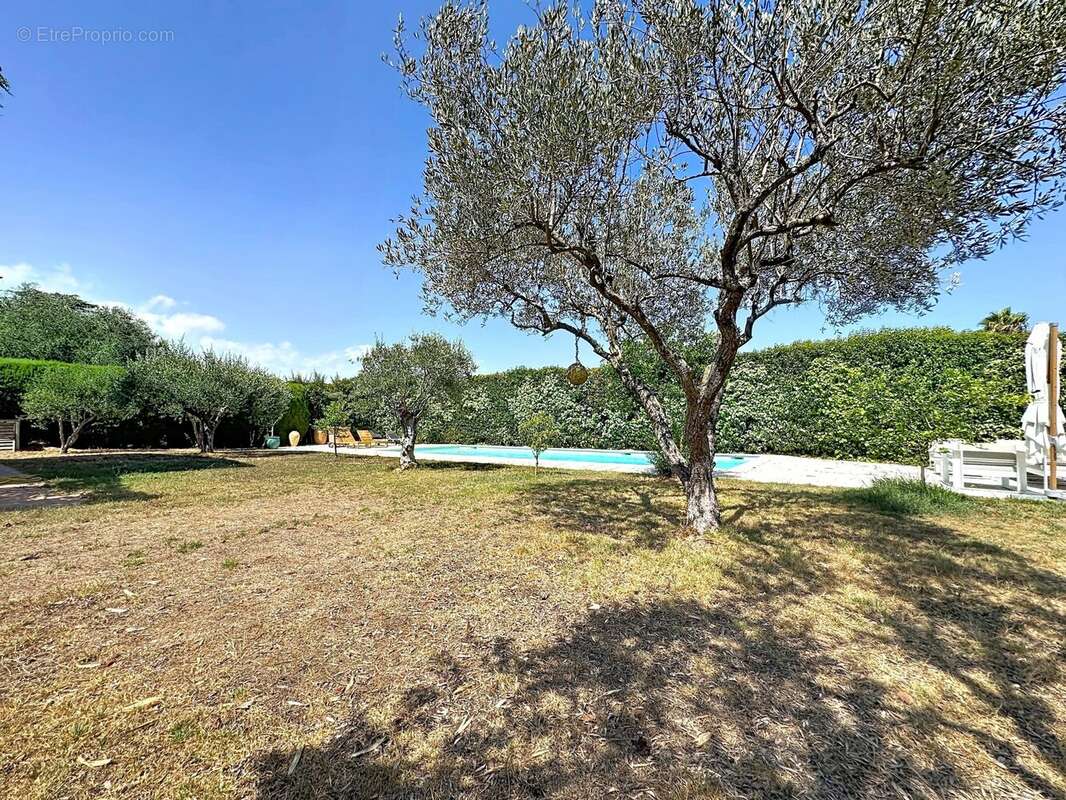Maison 235 m² à Mougins  - photo 3