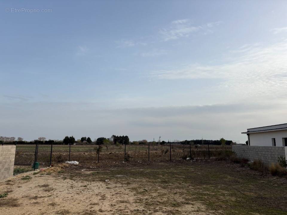 Terrain à MARSILLARGUES