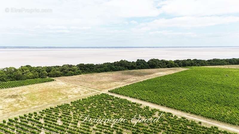 Exclusivité À VENDRE Vignoble Cru Bourgeois Médoc Vue exceptionnelle - photo 2