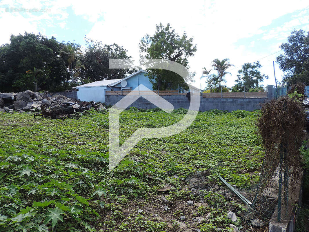 Terrain à LE TAMPON