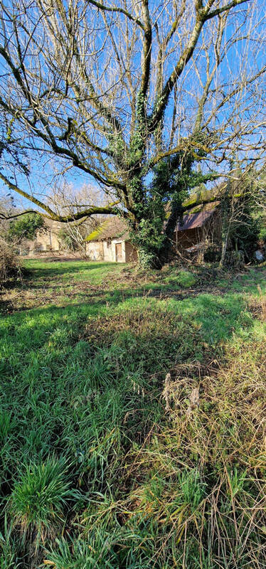Maison à ARANDON