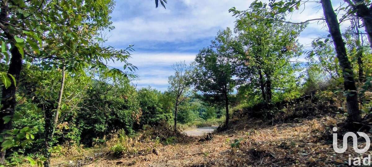 Photo 6 - Terrain à AULAS