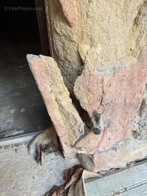 IMG0567 - Maison à SAINT-VINCENT-DE-COSSE