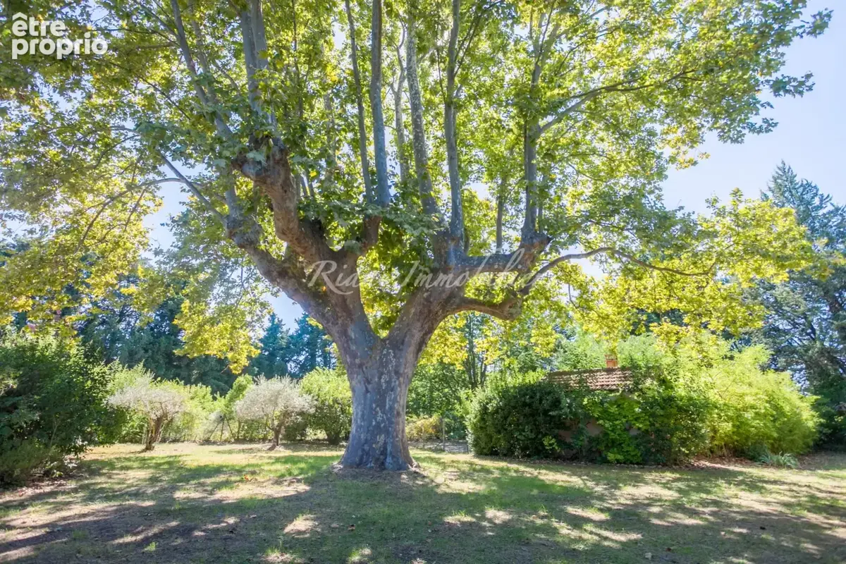 Maison 9 pièces 192 m² à vendre à L'isle-Sur-La-Sorgue (84800) - photo 3