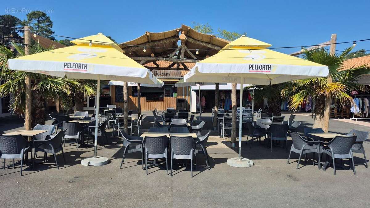 Photo 2 - Commerce à CARCANS