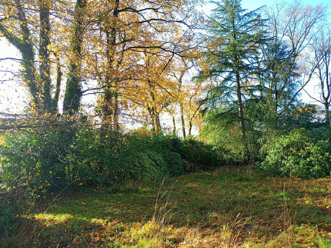 Terrain à LA CHAPELLE-SUR-ERDRE