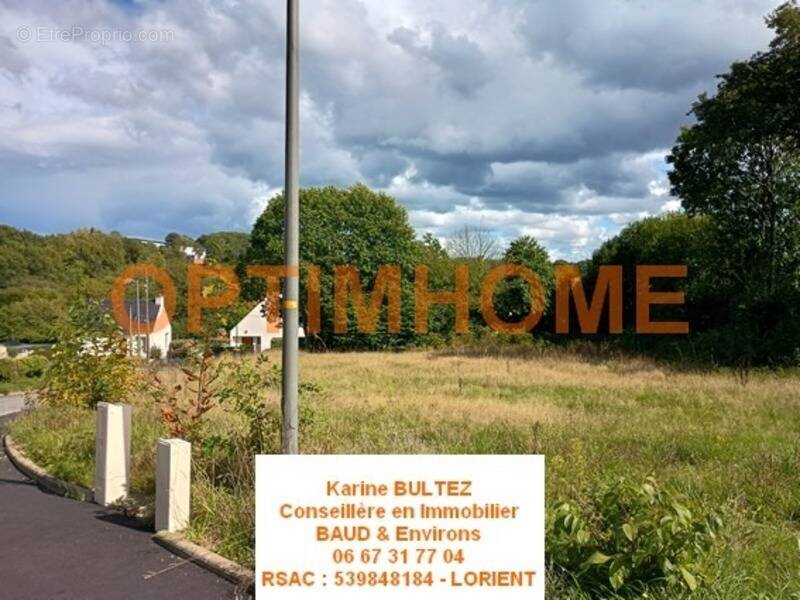Terrain à BAUD