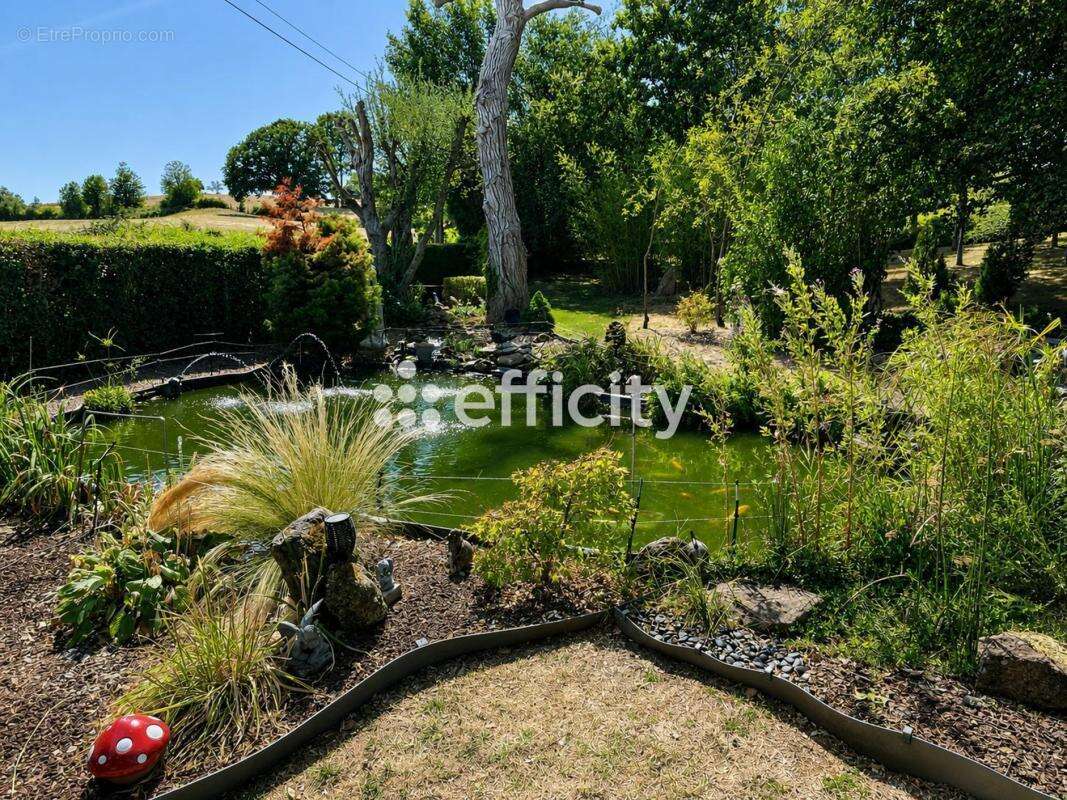 Maison en pierres - photo 20
