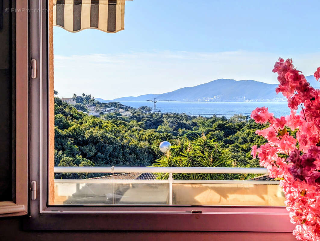 Maison à PIETROSELLA